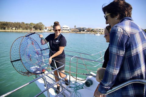 Mandurah Dolphin And Scenic Marine Cruise - Attractions 16