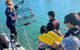 Mandurah Dolphin And Scenic Marine Cruise - thumb 18