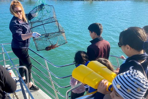 Mandurah Dolphin And Scenic Marine Cruise - Attractions 18