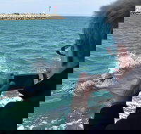 Mandurah Dolphin Island Adventure - Attractions