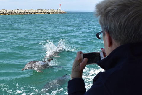 Mandurah Dolphin Island Adventure - Attractions 0