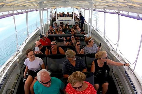 Mandurah Dolphin Island Adventure - Attractions 1