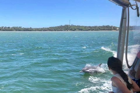Mandurah Dolphin Island Adventure - Attractions 9