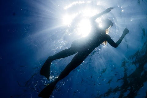 Ningaloo Reef Or Muiron Islands Snorkeling And Wildlife Adventure - Attractions 6