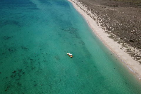 Ningaloo Reef Or Muiron Islands Snorkeling And Wildlife Adventure - Attractions 10