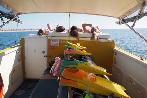 Ningaloo Reef Or Muiron Islands Snorkeling And Wildlife Adventure - Attractions 11