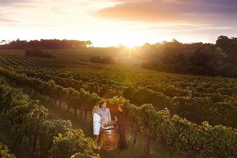 Leeuwin Estate: Food And Wine Experience - Attractions 0