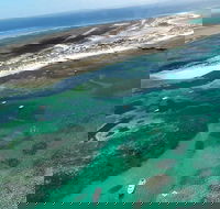 Abrolhos Flyover with Morning Tea on East Wallaby Island - Attractions