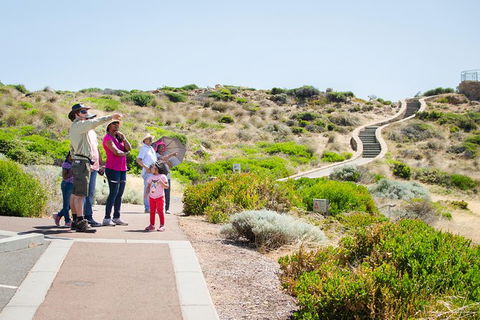 Margaret River Coastal And Wildlife Eco Trip From Busselton Or Dunsborough - Attractions 1