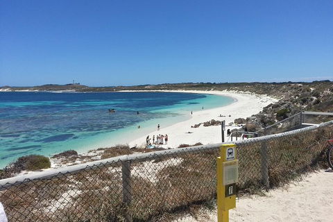 Fly To Rottnest Island By Plane - Attractions 4