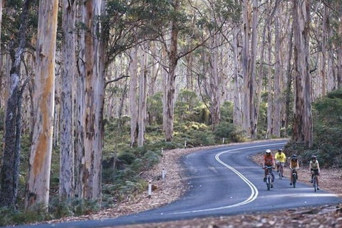 Margaret River And Geographe Bay Region Day Trip From Perth - Attractions 1