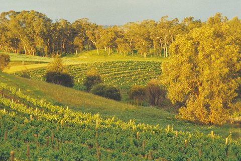 Swan Valley Private Tour - Attractions 2