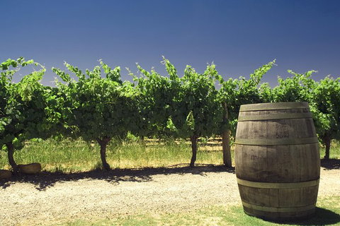 Swan Valley Private Tour - Attractions 6