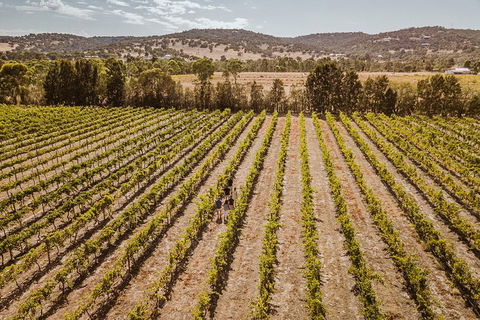 Small Group Swan Valley Premium Winelovers Experience - Attractions 3