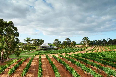 Vasse Felix Winery Tour And Tasting - Attractions 0