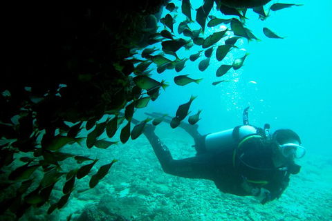 Scuba Dive Ningaloo Reef - Attractions 0