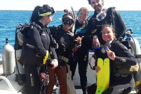 Scuba Dive Ningaloo Reef - Attractions 3