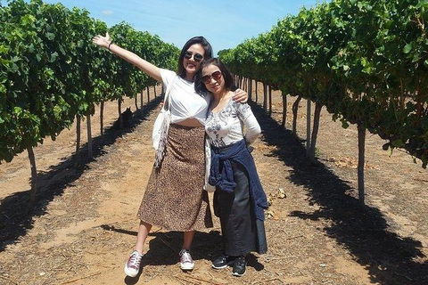 VIP Swan Valley Wine Tour - Premium Small Group Wine & Gourmet Experience - Attractions Las Vegas 3