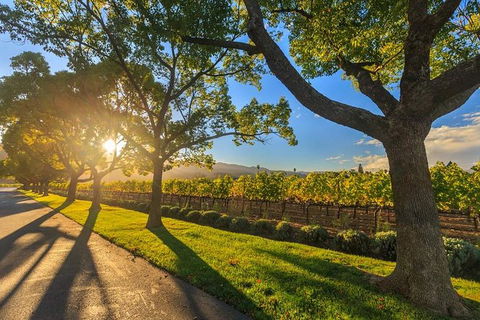 VIP Swan Valley Wine Tour - Premium Small Group Wine & Gourmet Experience - Attractions Las Vegas 5