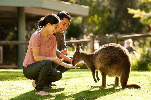 Very Best Of Perth Tour - Wildlife Park & City Highlights Tour - Attractions 0