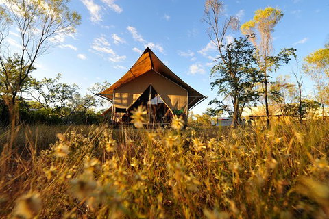 APT Kimberley Wilderness Adventures Purnululu (Bungle Bungle) 4WD Experience - Attractions Las Vegas 10