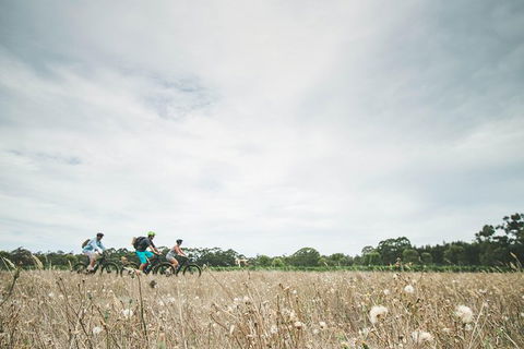 Electric Bike Winery And Brewery Tour - Attractions 2
