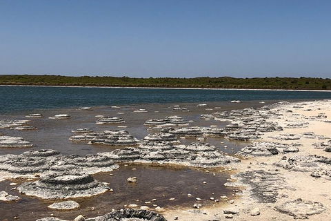 Private Pinnacles Day Tour - Attractions 4