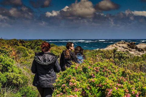 Guided Walks On The Cape To Cape - Wilyabrup Cliffs - Attractions 0