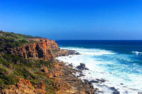 Guided Walks On The Cape To Cape - Wilyabrup Cliffs - Attractions 2