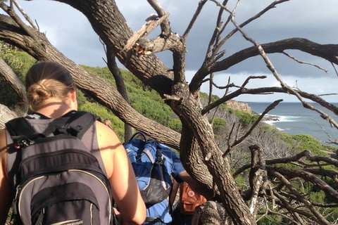 Guided Walks On The Cape To Cape - Wilyabrup Cliffs - Attractions 6