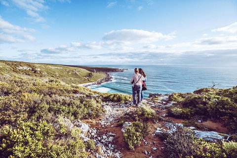 Guided Walks On The Cape To Cape - Wilyabrup Cliffs - Attractions 7