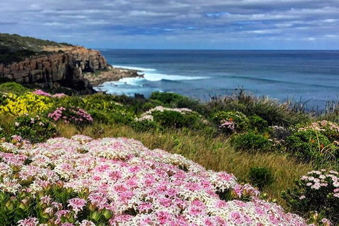Guided Walks On The Cape To Cape - Wilyabrup Cliffs - Attractions 3