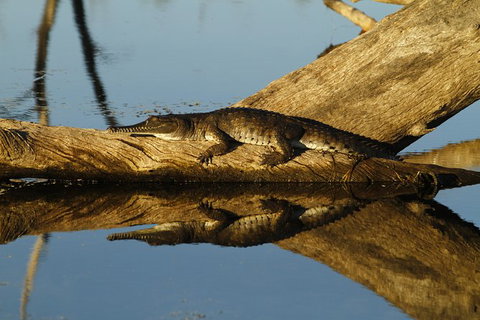 Lake Argyle Best Of Lake Argyle Cruise Departing Kununurra - See Attractions 1