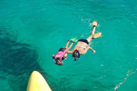 Full Day Sail To Rottnest Island From Fremantle - Attractions 3