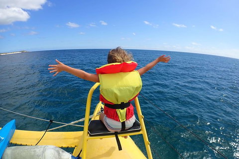 Full Day Sail To Rottnest Island From Fremantle - Attractions 8