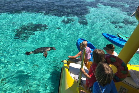 Full Day Sail To Rottnest Island From Fremantle - Attractions 5