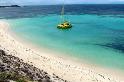 Full Day Sail To Rottnest Island From Fremantle - Attractions 4