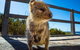 Full Day Sail To Rottnest Island From Fremantle - thumb 9