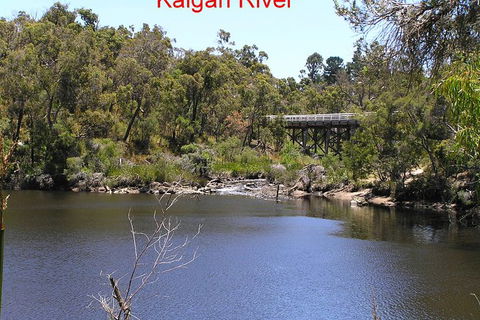 Kalgan Queen Scenic Cruises A Four Hour Sheltered Water Wildlife Tour Daily Fun. - Attractions 3