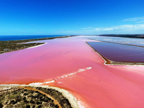 Pink Lake Aerial Flyover From Geraldton - Attractions 0