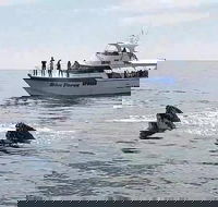 Busselton Whale Watching Eco Tour - Attractions