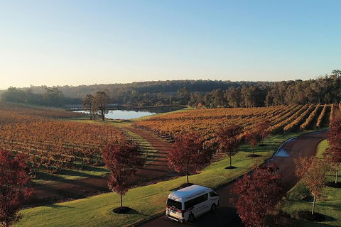 Full-Day Winery And Brewery Tour In Margaret River With Lunch - Attractions 4