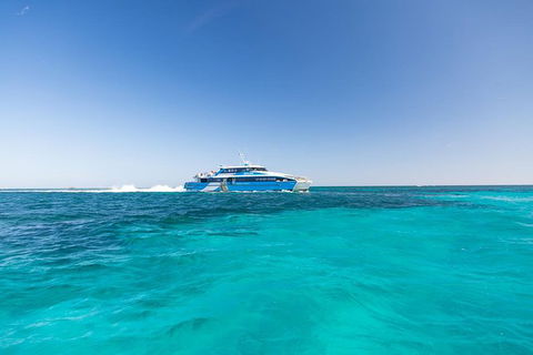 Rottnest Island Bayseeker Day Trip From Perth With Transfer - Attractions 1
