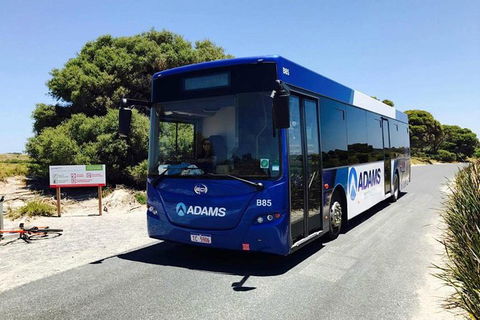 Rottnest Island Bayseeker Day Trip From Perth With Transfer - Attractions 0