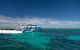 Rottnest Island Wild Seafood Package From Perth With Transfer - thumb 1