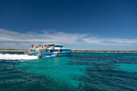Rottnest Island Wild Seafood Package From Perth With Transfer - Attractions 1