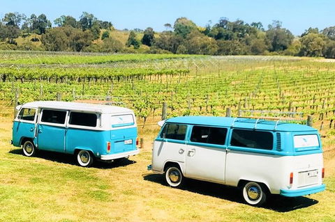 VW Kombi Wine Tour In The Swan Valley - Attractions Las Vegas 6