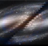 Dusk to Dawn Astronomy Experience at Bullara Station Stay - Attractions