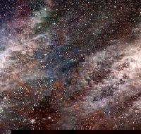 Overnight Astronomy Experience Ningaloo - Yardie Homestead - Attractions