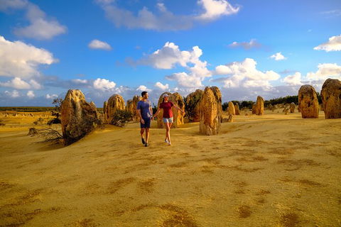 Half Day Pinnacles Sunset Tour - Attractions 3